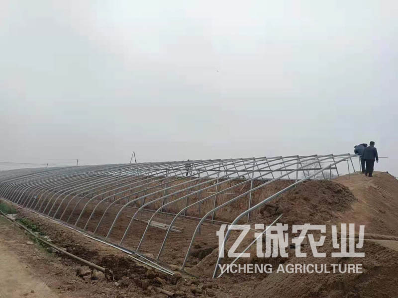 日光大棚溫室骨架改造現(xiàn)場